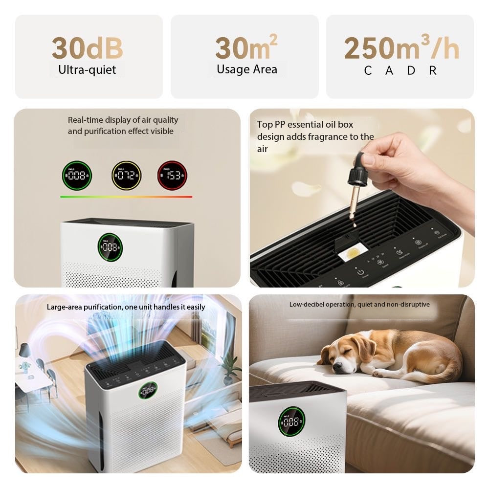 Home Pet Air Purifiers Can Effectively Absorb Pet Hair